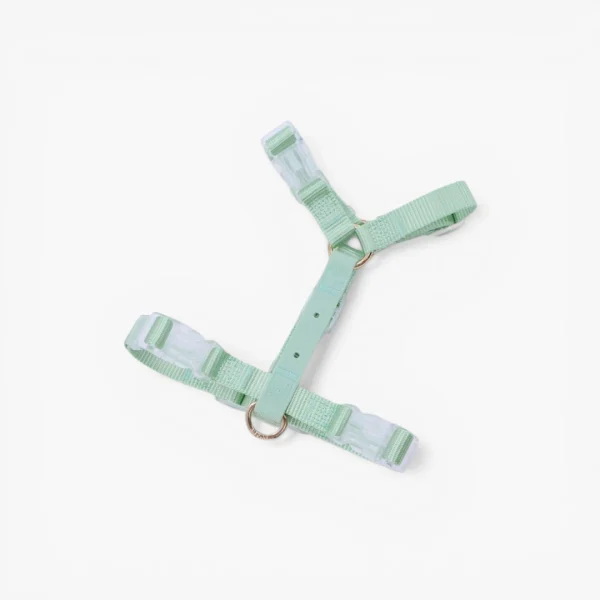 Moodies Harness - Pistachio